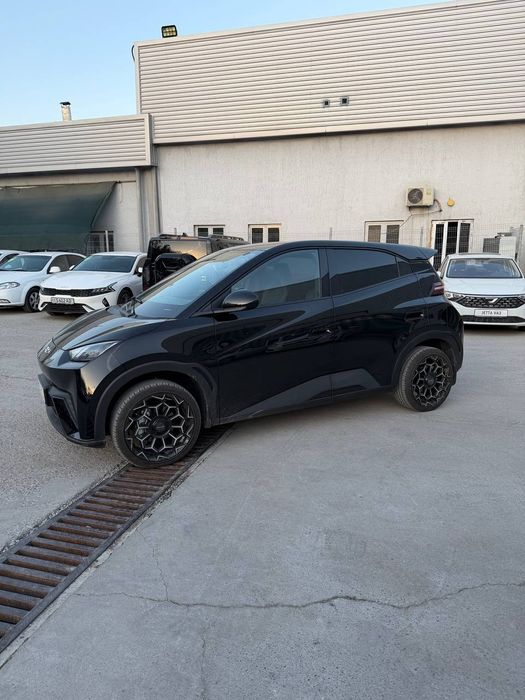 Seagull byd flying. 2024yil. Spark o'rniga. Srochna sotiladi.