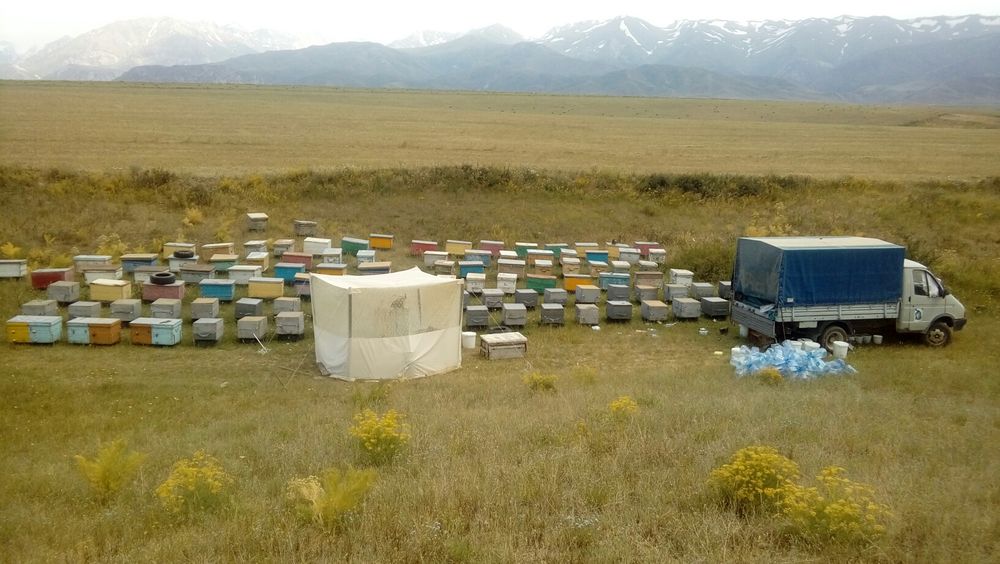 Мәскеудегі жезөкшелермен сауна