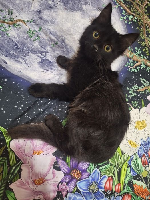 Мальчик 3 месяца