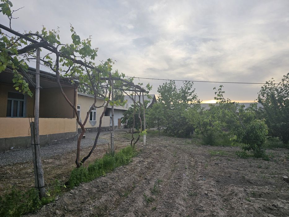 Yer uchastka 16sotix