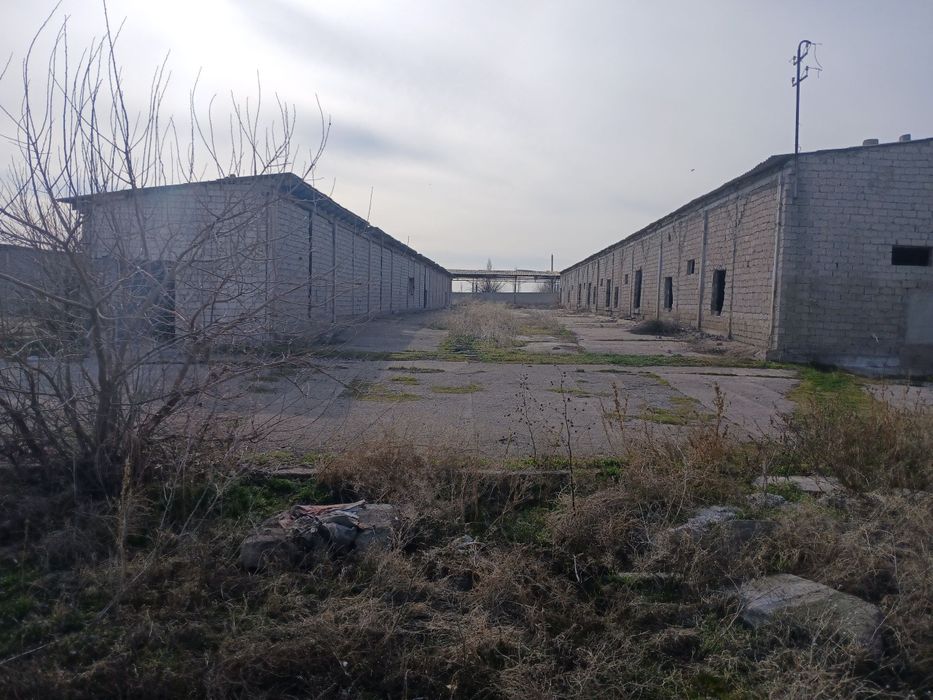 Выкуп. Срочно. 12 ГА территории