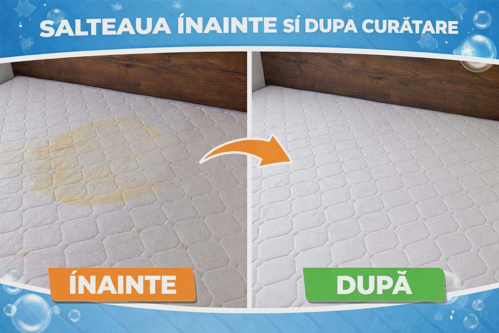 Curățare Profesională Canapele și Tapițerii Bistrița