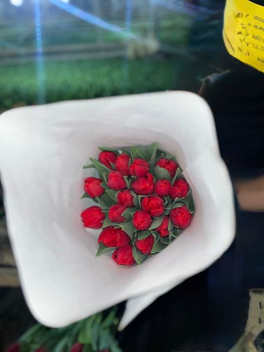 Премиальные тюльпаны