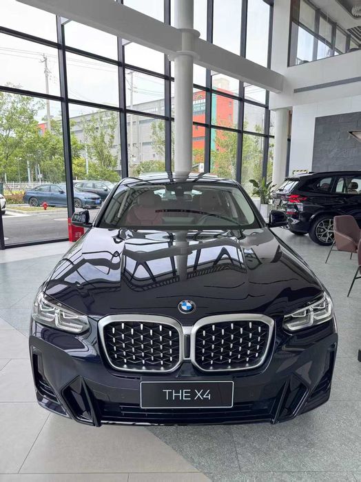 BMW X4 25i и 30i MSport