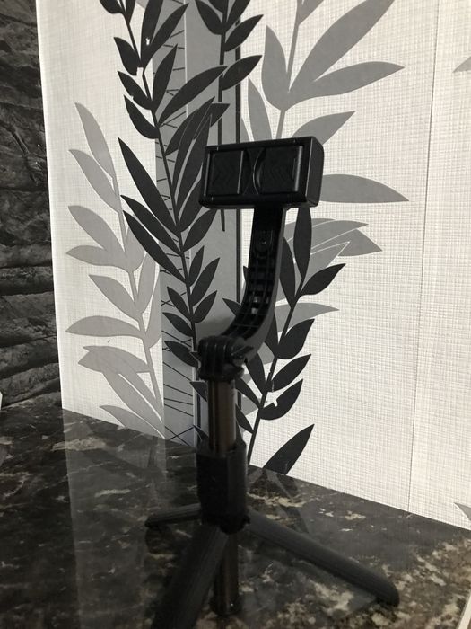 Штатив, стедикам