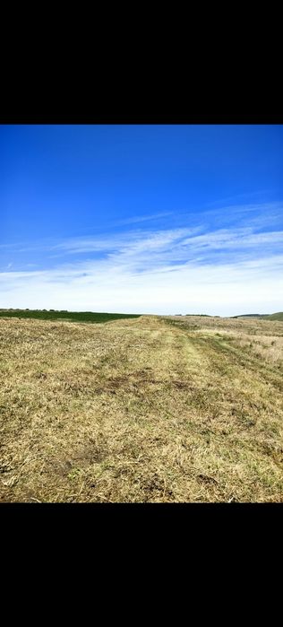 Curățare teren, curățare pasuni, defrisare, intretinere