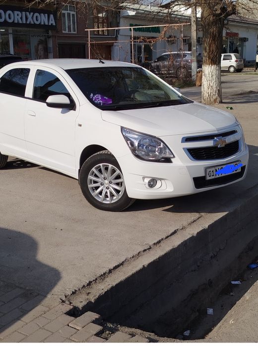 Собалт срочно праётся