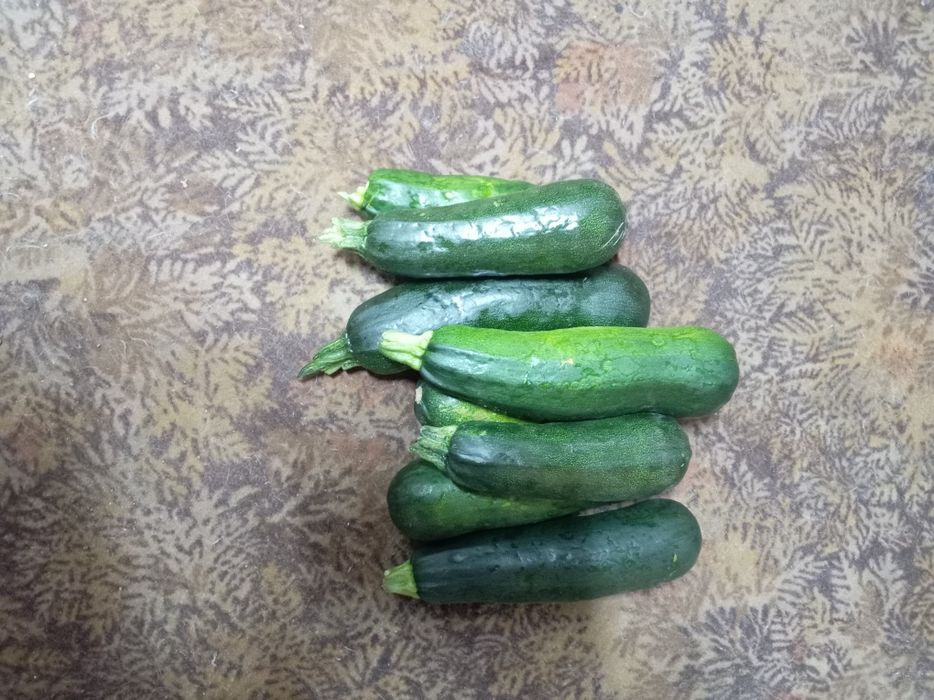 Продам кабачки домашние небольшие вкусные полезные
