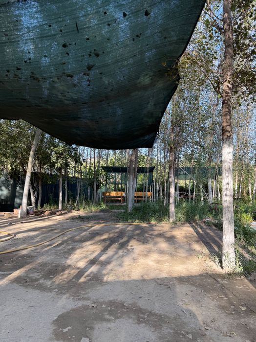 Бассейн Самарканд. Аренда бассейна. Коттедж. Зона отдыха. Дача