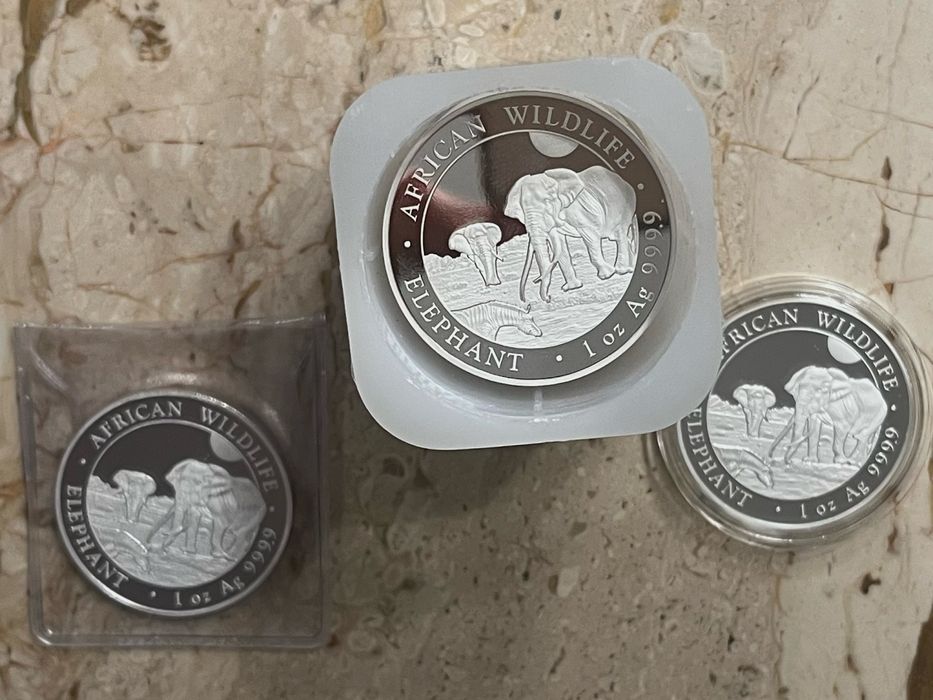 Сребърна монета Сомалийски слон 2026