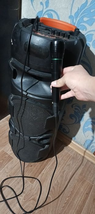 Срочно продам калонка с микрофоном