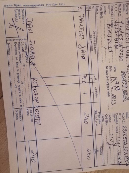 Pantofi eleganți retro-chic