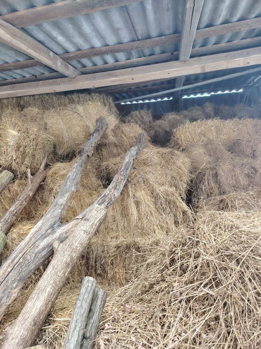 Vind baloții de fîn producție 2025