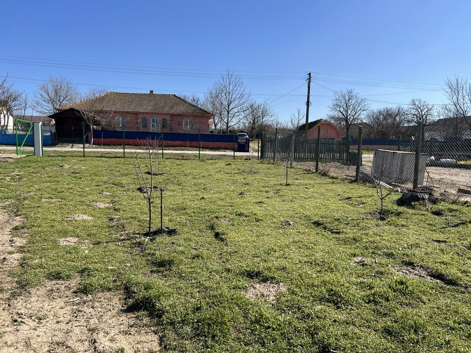 Teren intravilan 6500mp imprejmuit