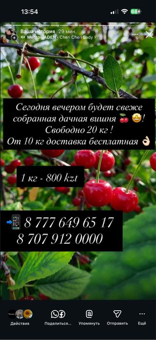В наличии свежая вишня