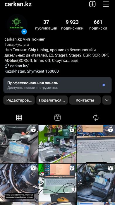 Чип тюнинг авто прошивка ЭБУ Immo off