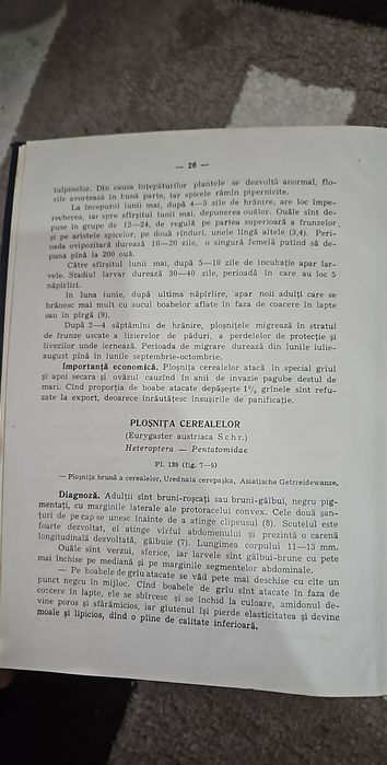 Carti de Colecție Protectia Plnatelor