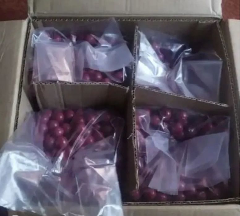 Шары для пейнтбола