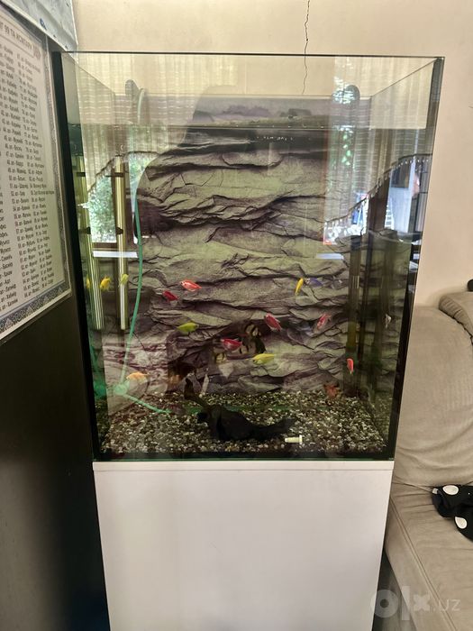 Akvarium sotiladi