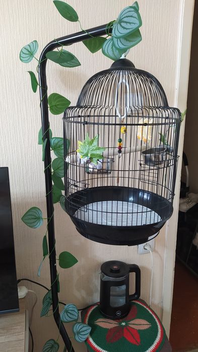 Продам клетку на подставке.