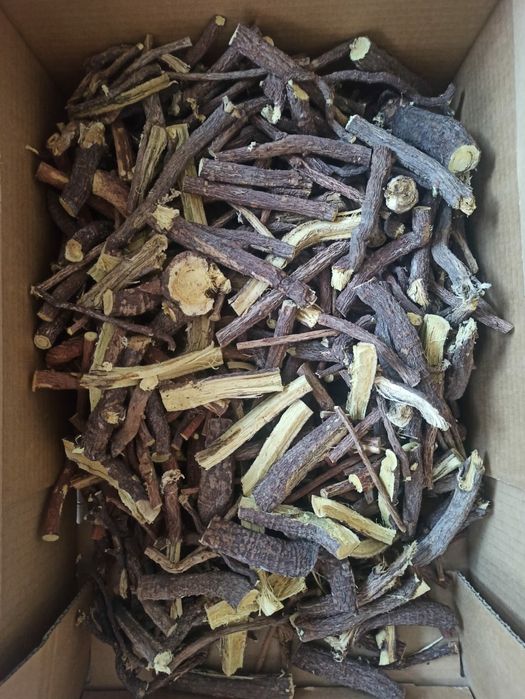 Солодка (корни) горная