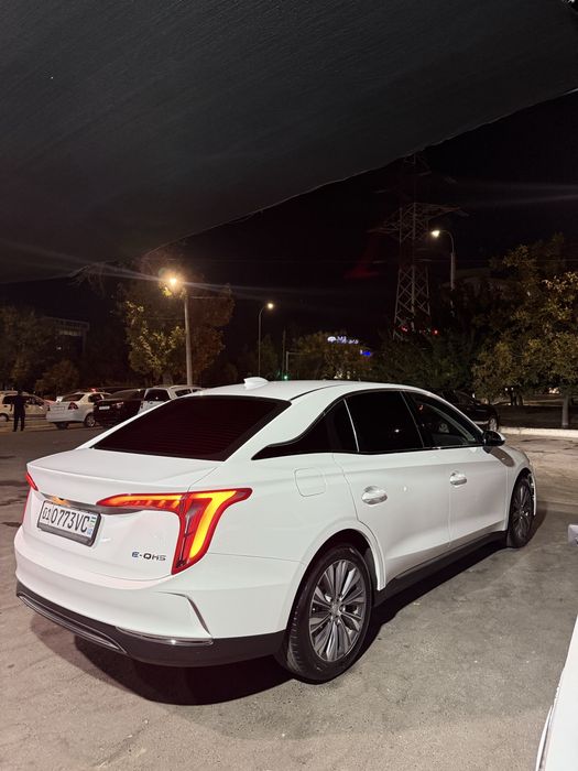 Honqi eqm 5 500 tali