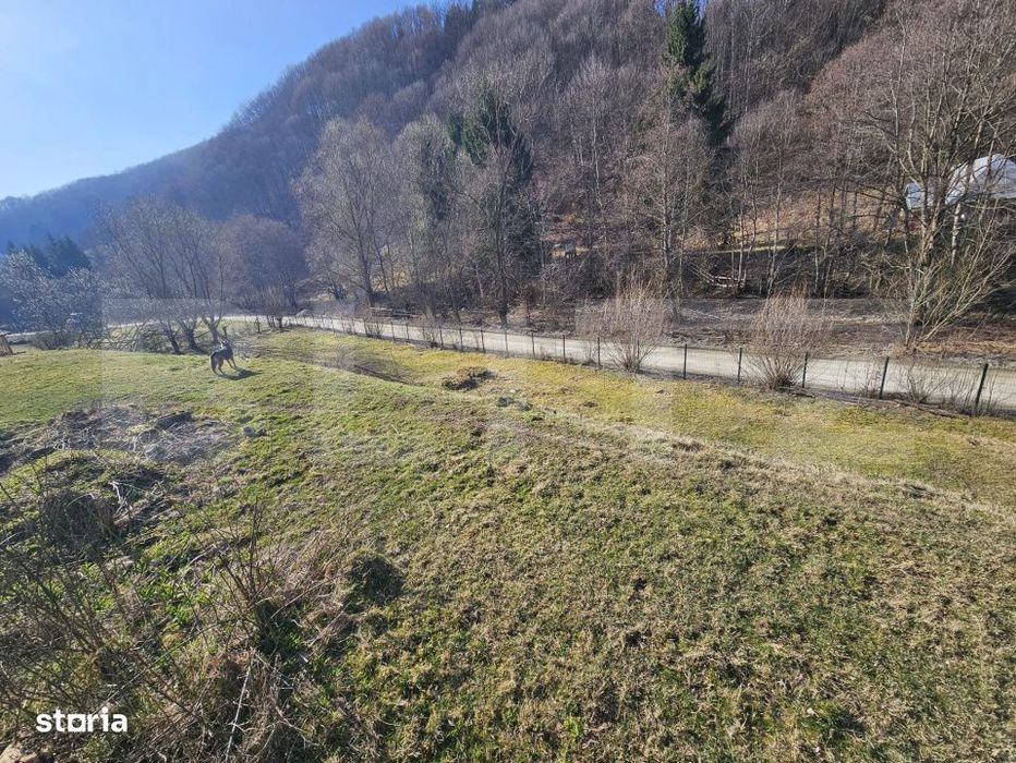 Casa de vacanta-Exclusivitate-Cumparator Comision 0-Sat Fiad ( Comuna