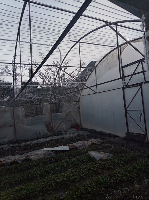 1.8sutiklik teplitsa