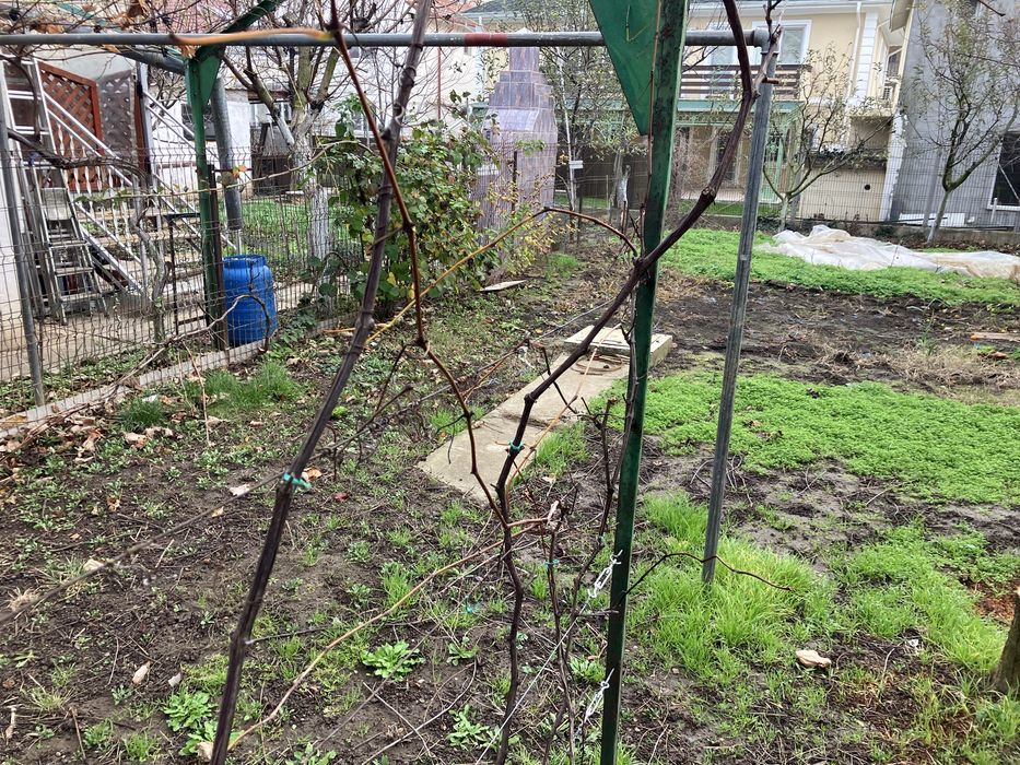 Casa si teren de vinzare