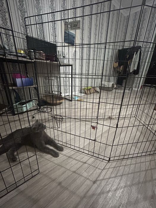 Вольер для животных