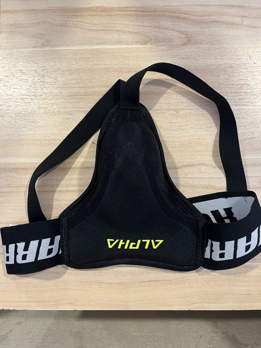 Ракушка хоккейная