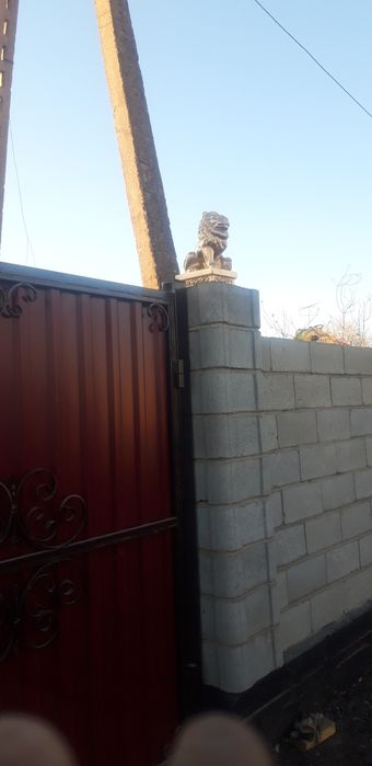 Вазоны уличные и лвы