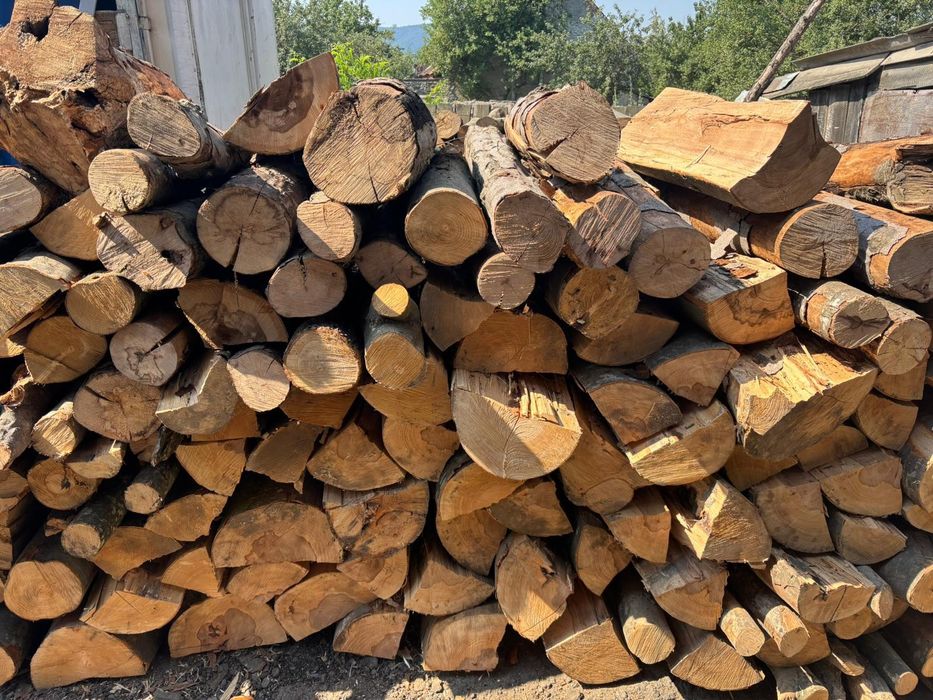 Lemne foc esență tare (fag și carpen)