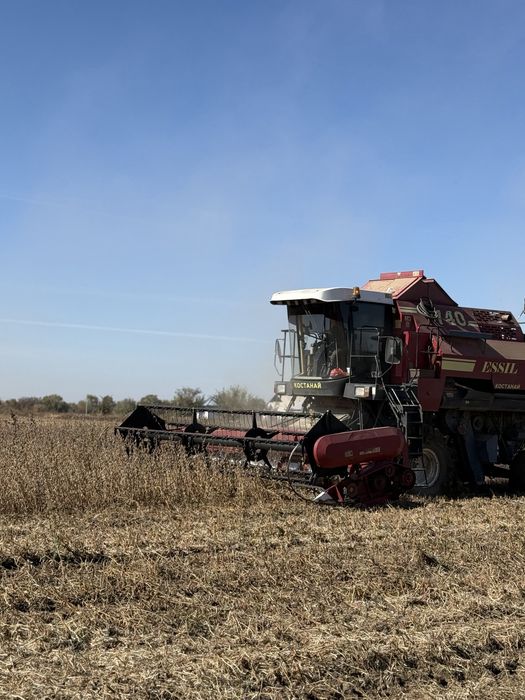 Продам семена сои