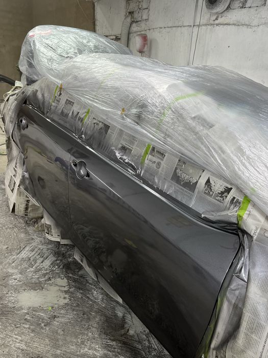 Кастаправ мольяр