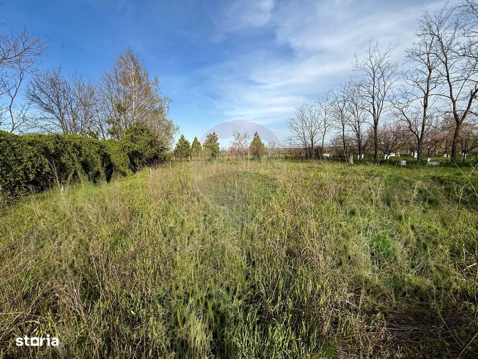 Teren de vanzare in Poiana Ovidiu Constanta
