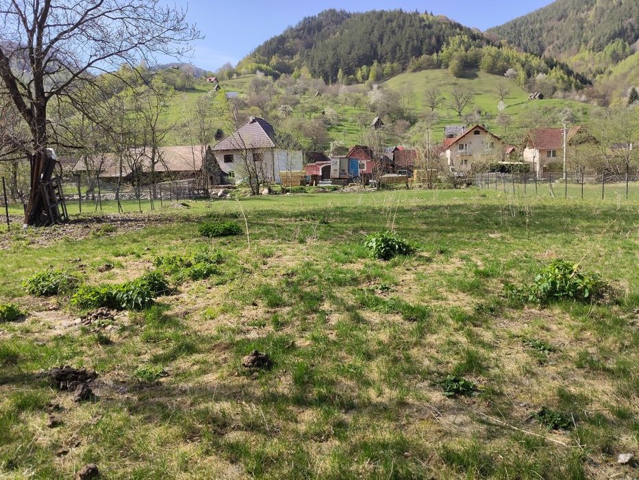 Teren Râu Sadului