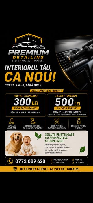 Detailing Auto Interior