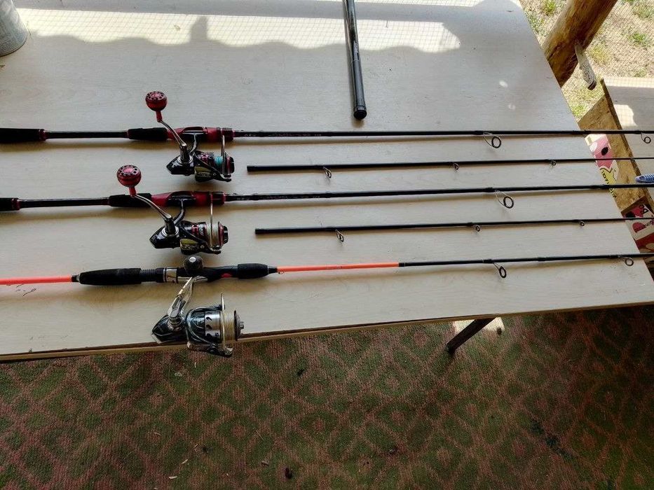 Baliqchlia wottamisila