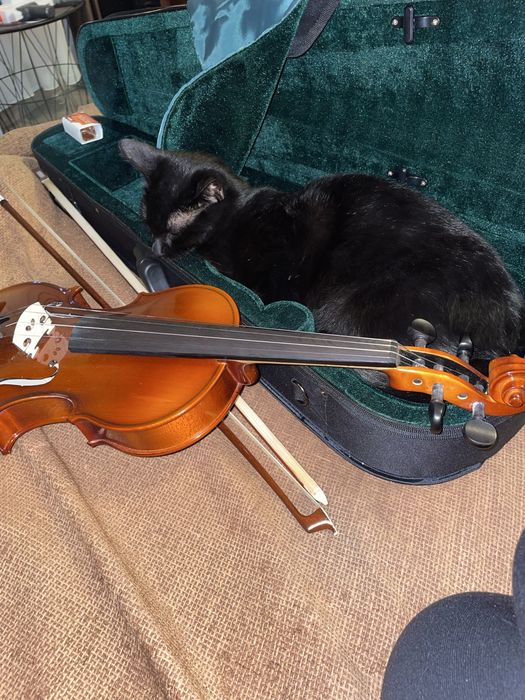 Vioară 4/4 + arcuș + cutie rigidă+suport barbie