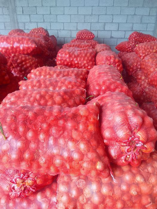 Пиёз (лук) сотилади