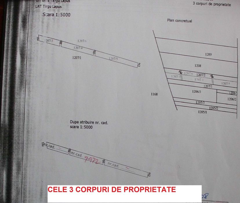 Intravilan locuri de case  Targu-Lapus  str Maramuresului