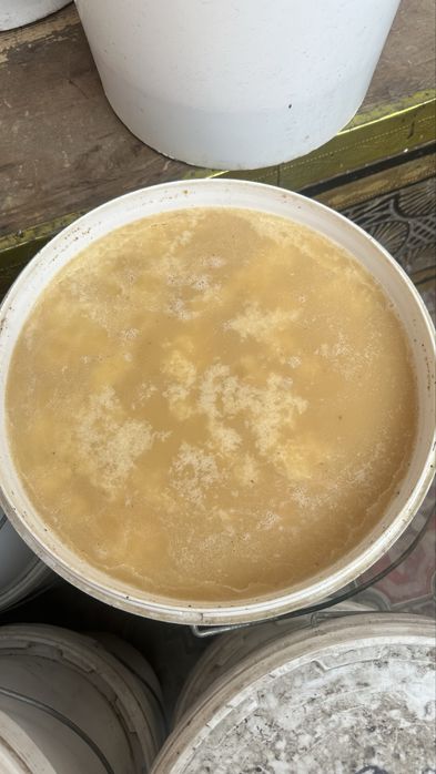 Тоза ва сифатли асал оптом ва килограм Мёд оптом и розницу