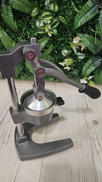 Storcător profesional de fructe