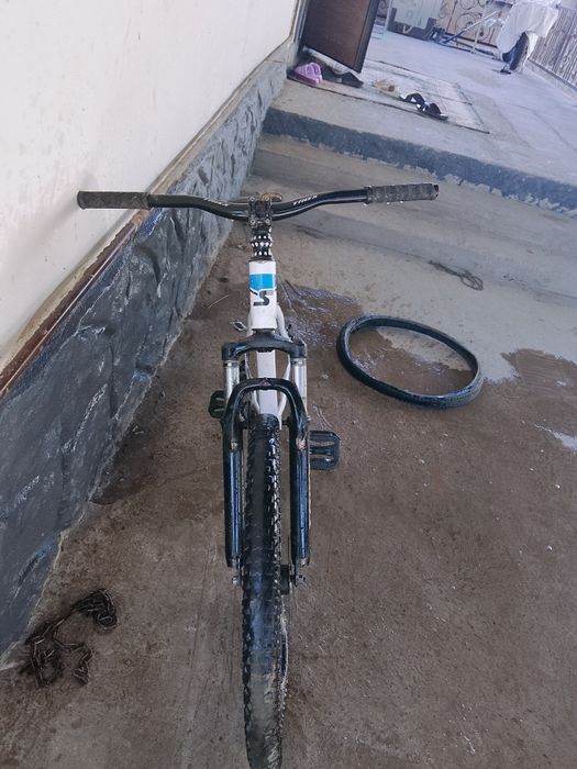 Вилик стандовый.
