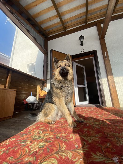 Кабель ВЕО на вязку