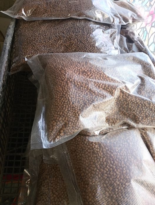 Hrană carași exotici și crapi Koi : Shubunkin, aurii, sarasa,  riukin, kohaku, calico, comete, black motor,