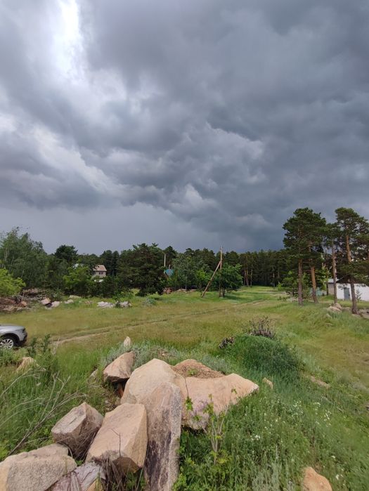 Земельный участок в лесу