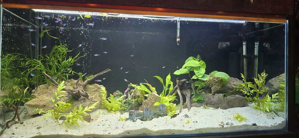 Аквариуми и терариуми