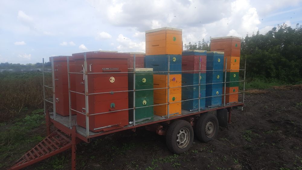 Продам пчело-прицеп!